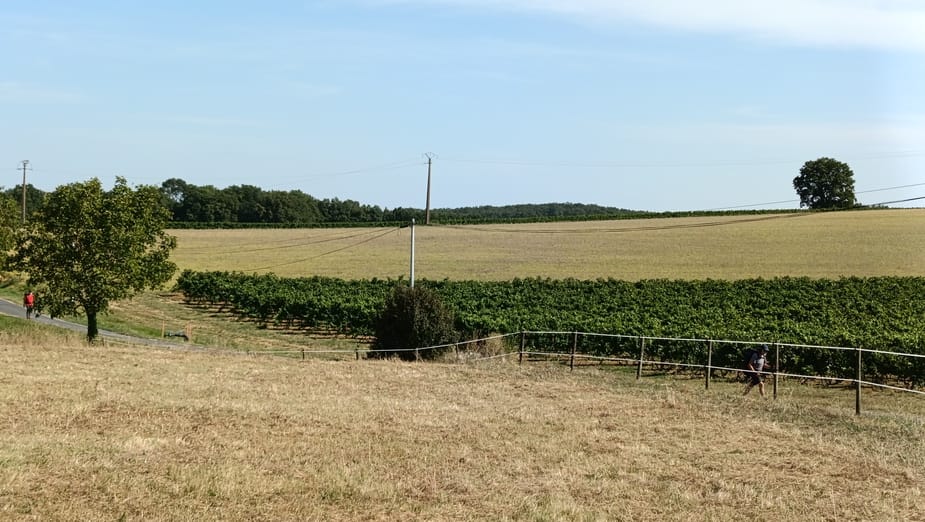 diapo_cordes_Gaillac_06