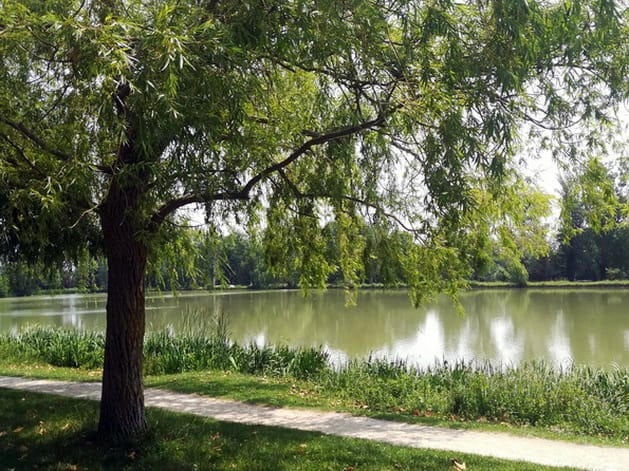 diapo_gaillac_rabastens_06