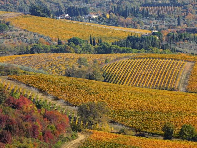 diapo_gaillac_rabastens_11
