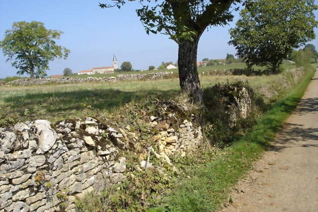 diapo_laramiere_varaire_04