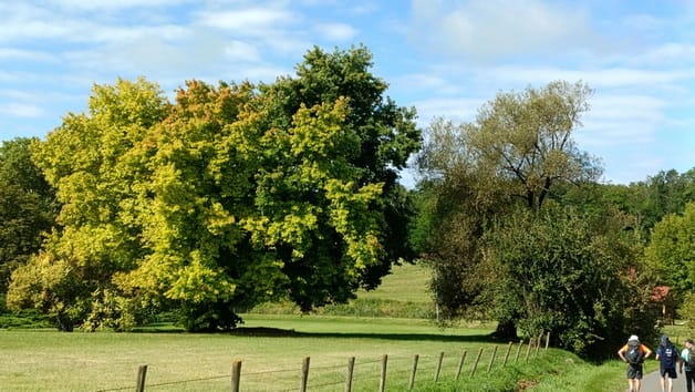 diapo_peyrusse_villeneuve_07